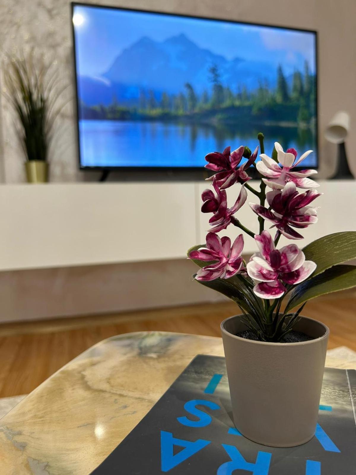 Luxury Studio Ploieşti Extérieur photo